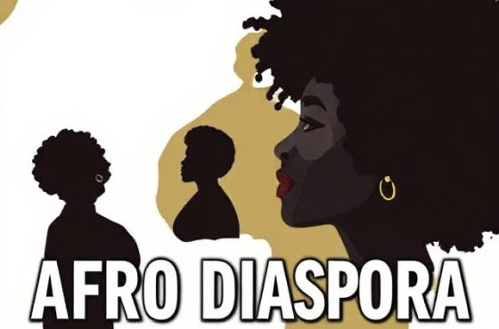 Discovering the Afro Diaspora Business Directory